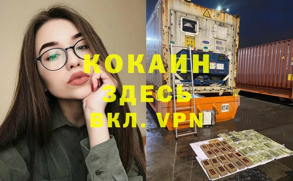 дживик Алексин
