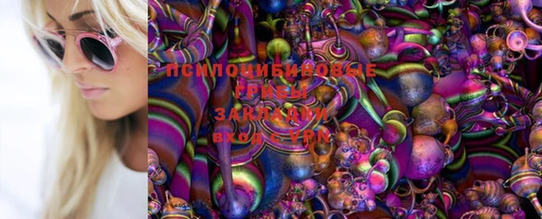 дживик Алексин